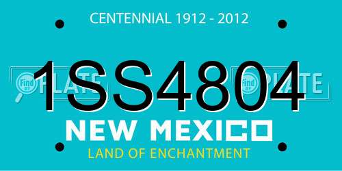 1SS4804 New Mexico License Plate