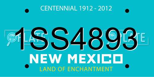1SS4893 New Mexico License Plate