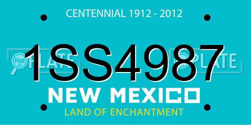 1SS4987 New Mexico License Plate