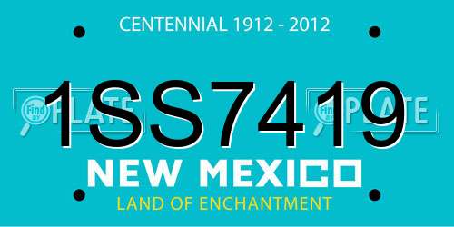 1SS7419 New Mexico License Plate