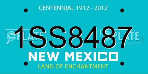 1SS8487 New Mexico License Plate