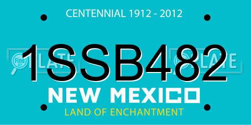 1SSB482 New Mexico License Plate