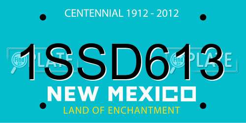 1SSD613 New Mexico License Plate