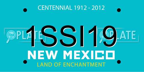 1SSI19 New Mexico License Plate