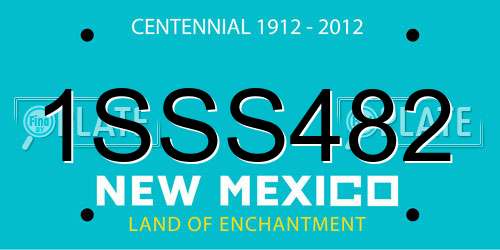 1SSS482 New Mexico License Plate