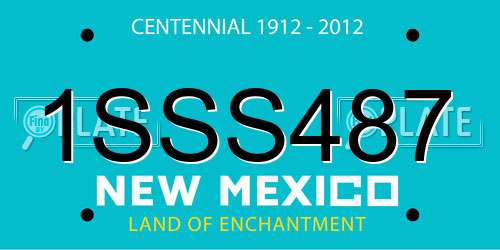 1SSS487 New Mexico License Plate