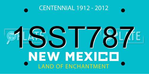 1SST787 New Mexico License Plate