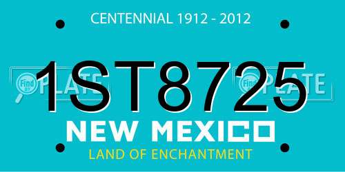 1ST8725 New Mexico License Plate