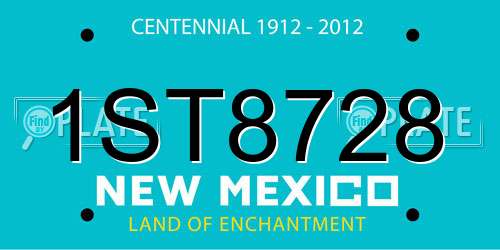1ST8728 New Mexico License Plate