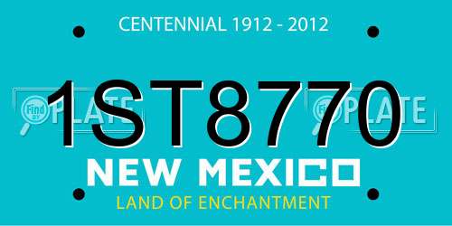 1ST8770 New Mexico License Plate