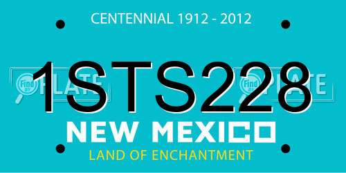 1STS228 New Mexico License Plate