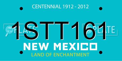 1STT161 New Mexico License Plate