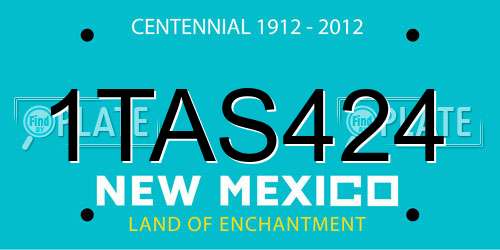 1TAS424 New Mexico License Plate