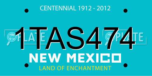 1TAS474 New Mexico License Plate