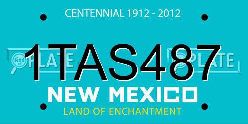 1TAS487 New Mexico License Plate