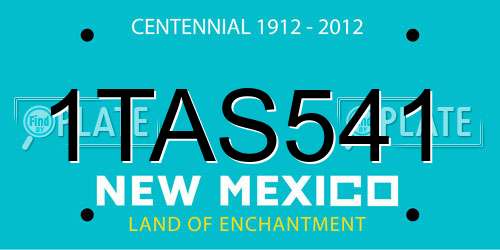 1TAS541 New Mexico License Plate