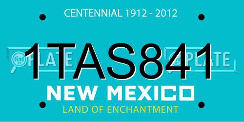 1TAS841 New Mexico License Plate