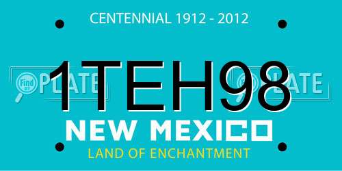 1TEH98 New Mexico License Plate