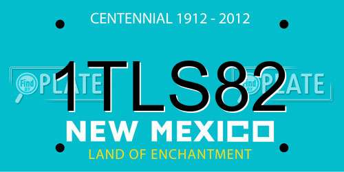 1TLS82 New Mexico License Plate