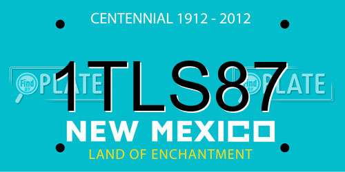 1TLS87 New Mexico License Plate