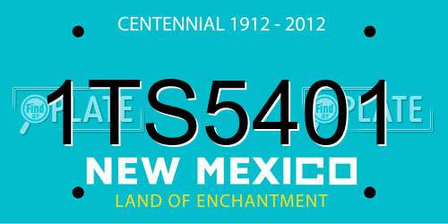 1TS5401 New Mexico License Plate