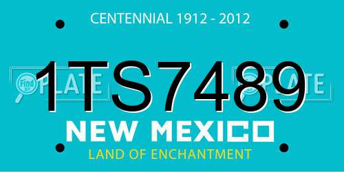 1TS7489 New Mexico License Plate