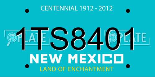 1TS8401 New Mexico License Plate