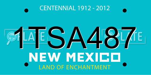 1TSA487 New Mexico License Plate