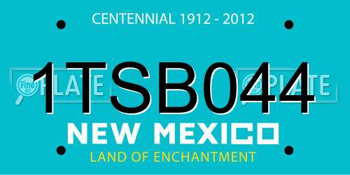 1TSB044 New Mexico License Plate