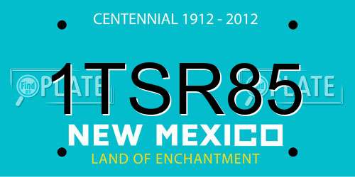 1TSR85 New Mexico License Plate