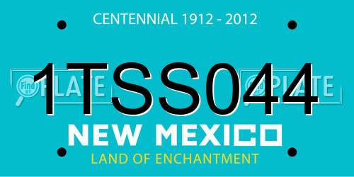 1TSS044 New Mexico License Plate