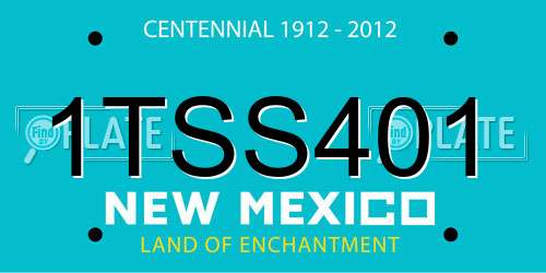 1TSS401 New Mexico License Plate