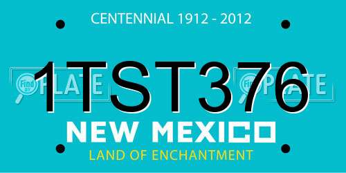 1TST376 New Mexico License Plate