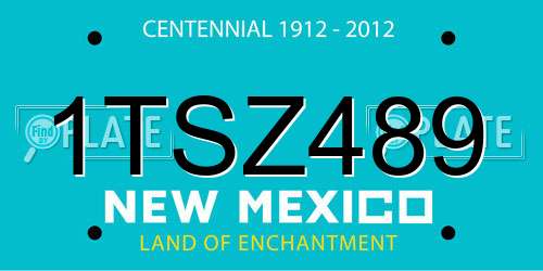 1TSZ489 New Mexico License Plate