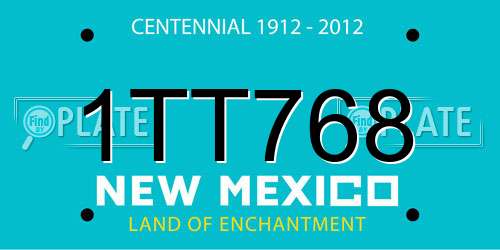 1TT768 New Mexico License Plate