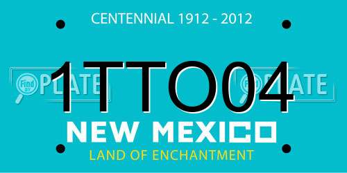 1TTO04 New Mexico License Plate