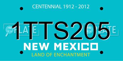 1TTS205 New Mexico License Plate