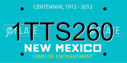 1TTS260 New Mexico License Plate