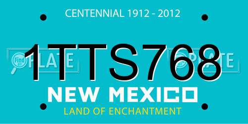 1TTS768 New Mexico License Plate