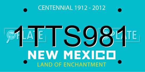 1TTS981 New Mexico License Plate