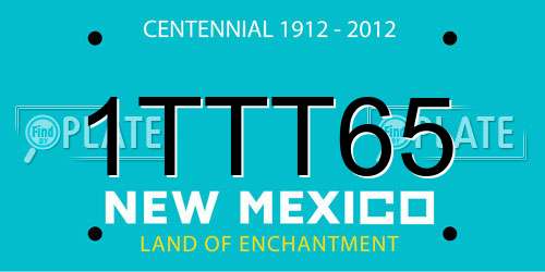 1TTT65 New Mexico License Plate