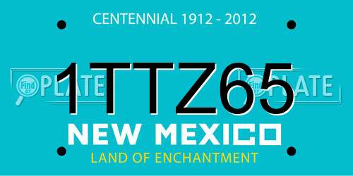 1TTZ65 New Mexico License Plate
