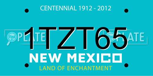 1TZT65 New Mexico License Plate
