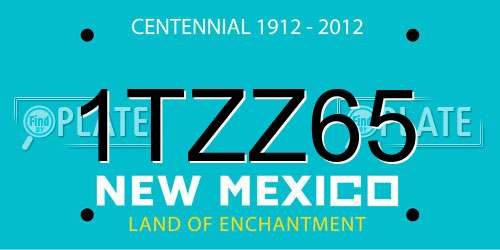 1TZZ65 New Mexico License Plate