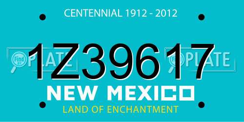 1Z39617 New Mexico License Plate