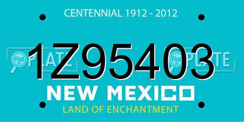 1Z95403 New Mexico License Plate
