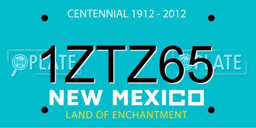 1ZTZ65 New Mexico License Plate