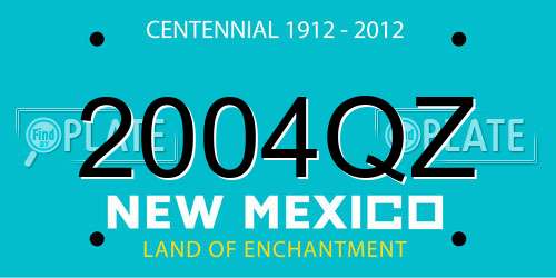 2004QZ New Mexico License Plate