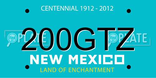 200GTZ New Mexico License Plate