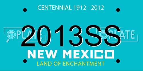 2013SS New Mexico License Plate